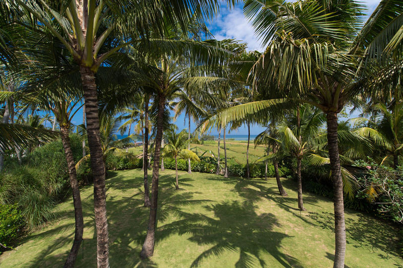 Luxury Rooted in Serenity – Bali Villa 1074