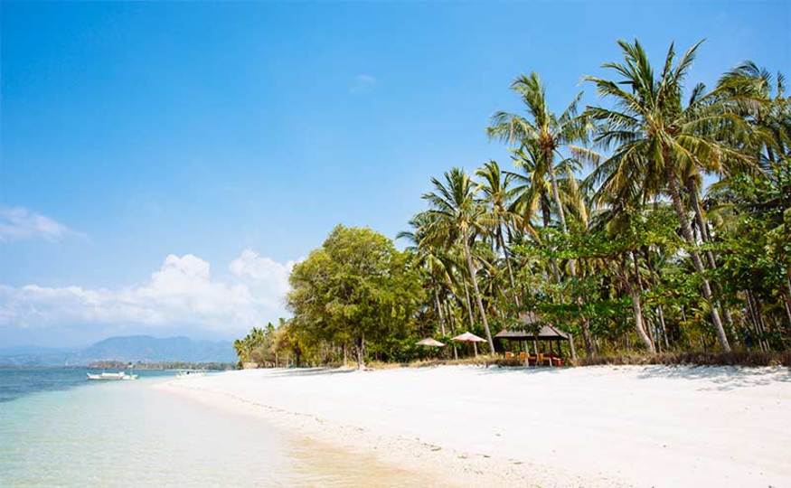 Luxury 4 Bedroom Villa with Private Pool, Lombok Villa 1134