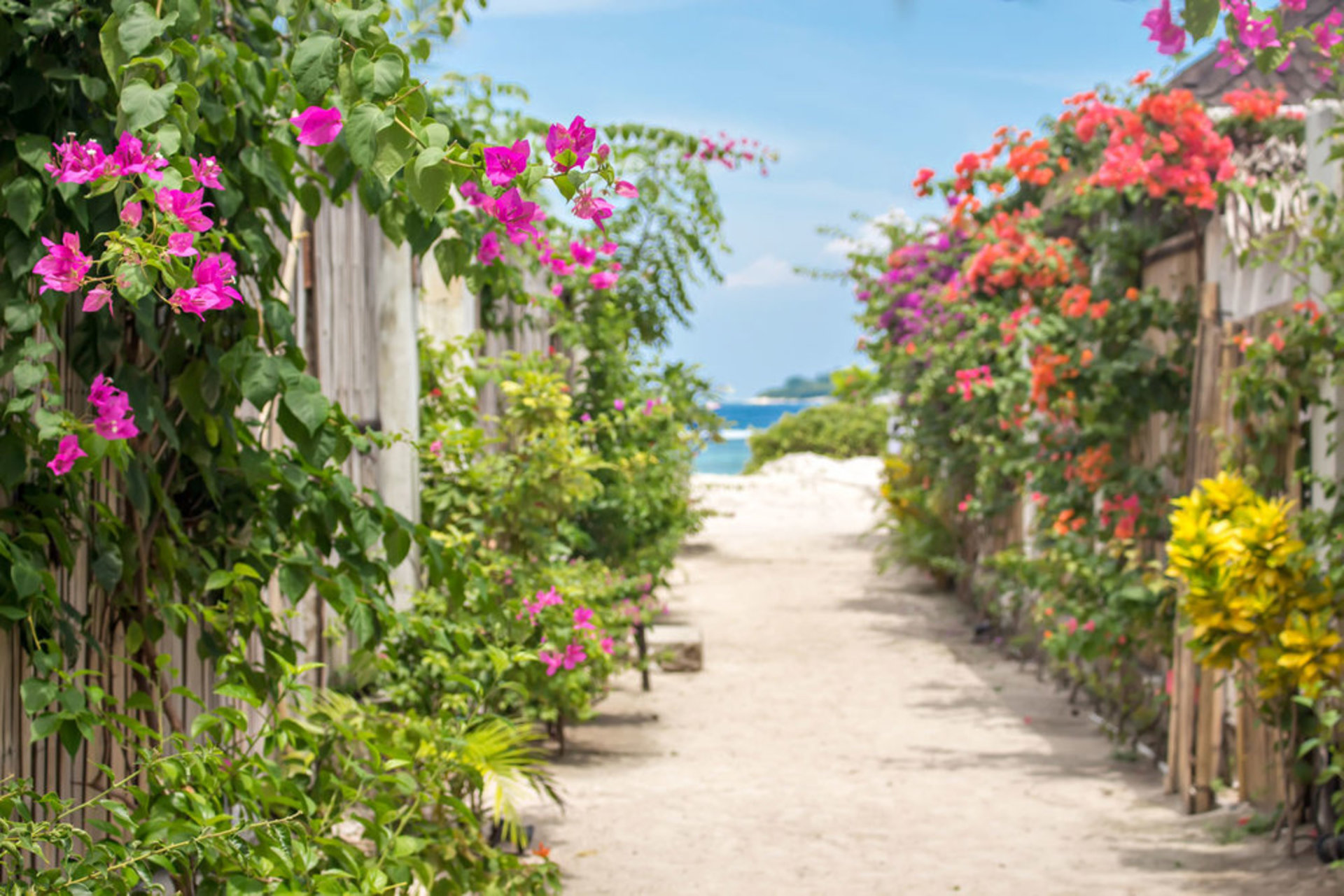 At Last, Rent Your Own 5 Star Private Villa in Seminyak at an Affordable Rate, Bali Villa 1145