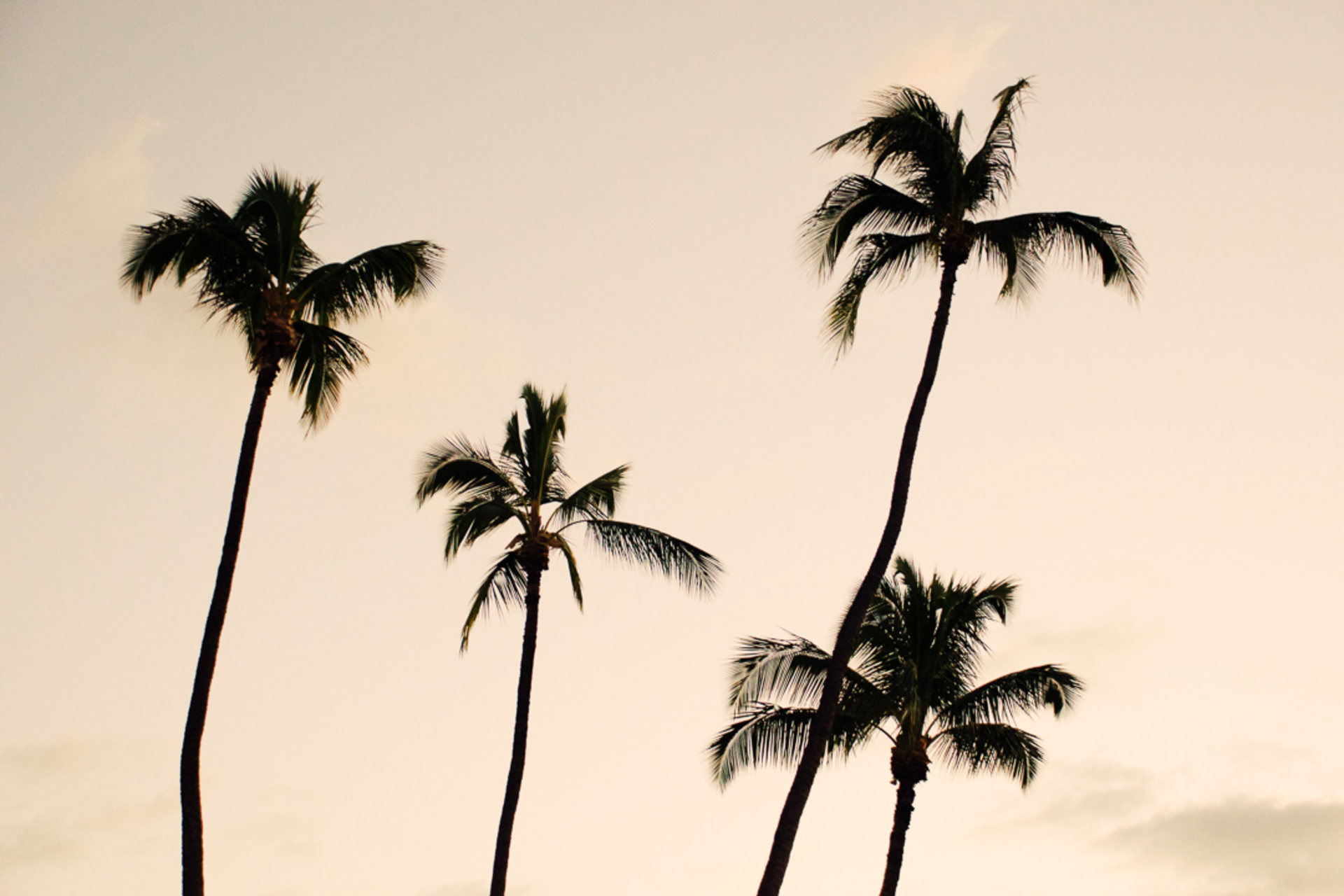 Beautiful Villa with Private Pool, Bali Villa 2049