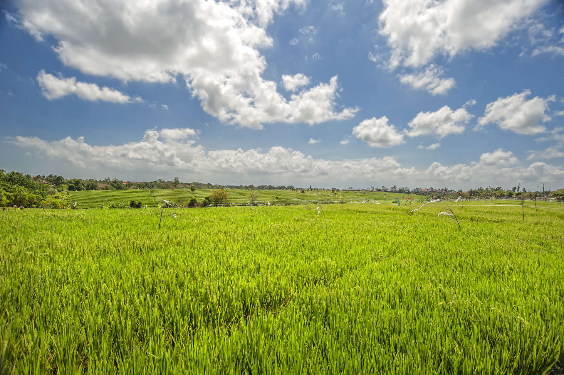 Rent a Luxury Villa in Bali Close to the Beach, Bali Villa 2054
