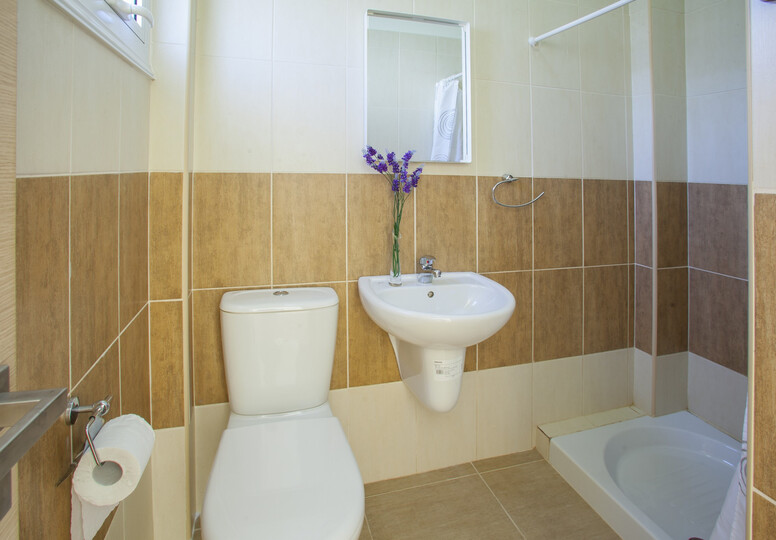 Imagine You and Your Family Renting this Luxury Villa in Protaras, minutes from the Beach, Protaras Villa 1477