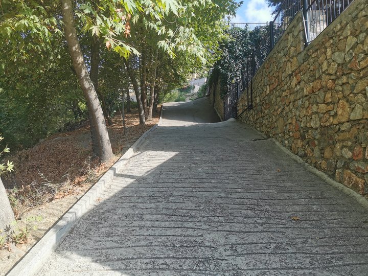 Road leading to your villa, lined with tress