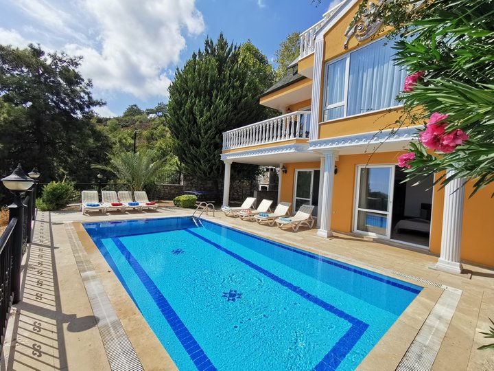 Majestic mountain views from your pool
