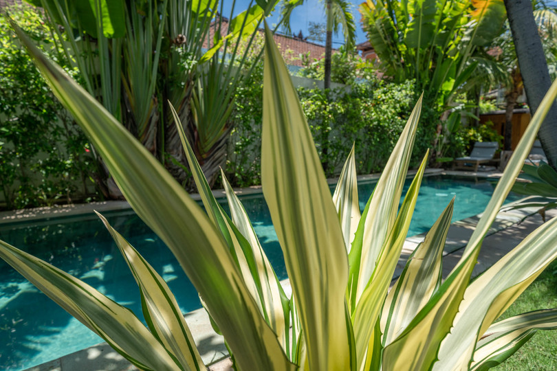 Luxury 4-Bedroom Getaway Near Double Six Beach, Bali Villa 2116