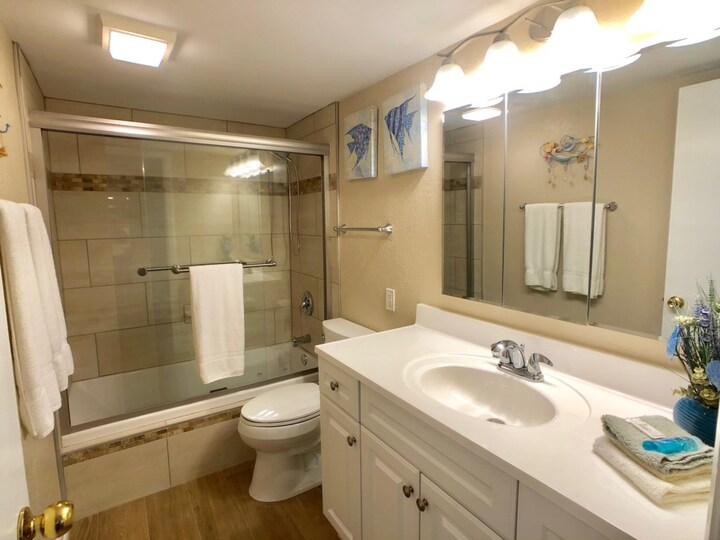 The Ultimate 1 Bedroom Condo on Bonita Beach, Florida Condo 5945
