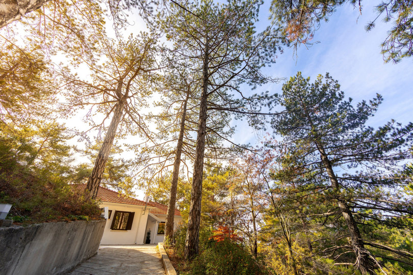 Luxury Mountain Getaway, Pano Platres 1004