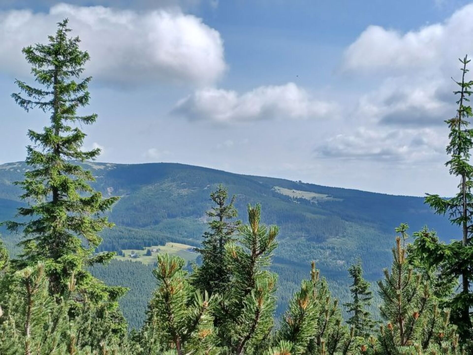 Place