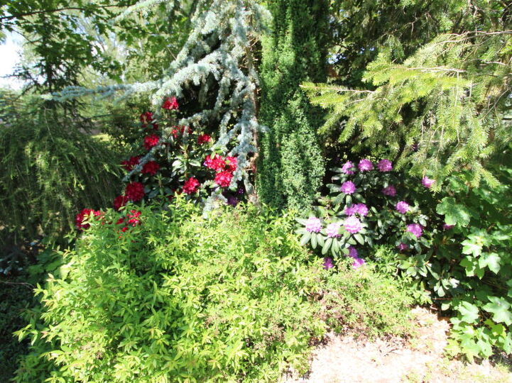 Outdoor