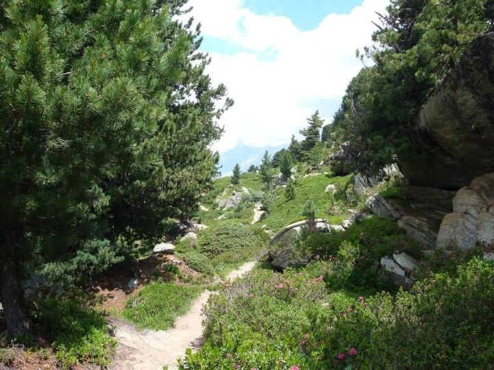 Peaceful Mountain Haven in Valais,1362