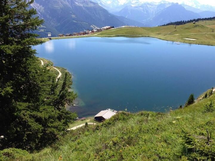 Peaceful Mountain Haven in Valais,1362