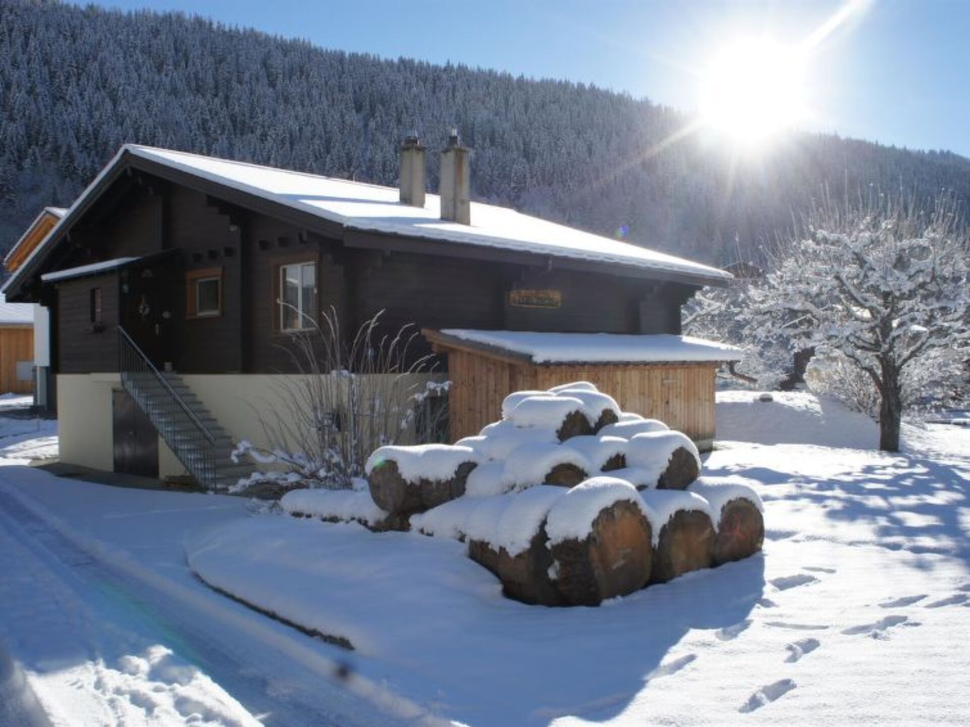 Tranquil Mountain Escape in Valais,1364