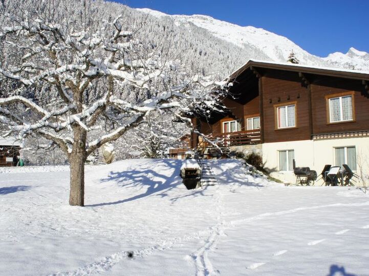 Tranquil Mountain Escape in Valais,1364