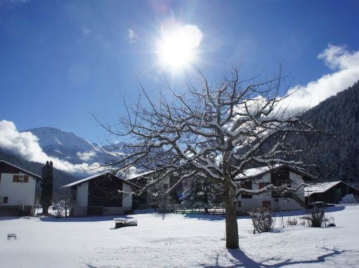 Tranquil Mountain Escape in Valais,1364