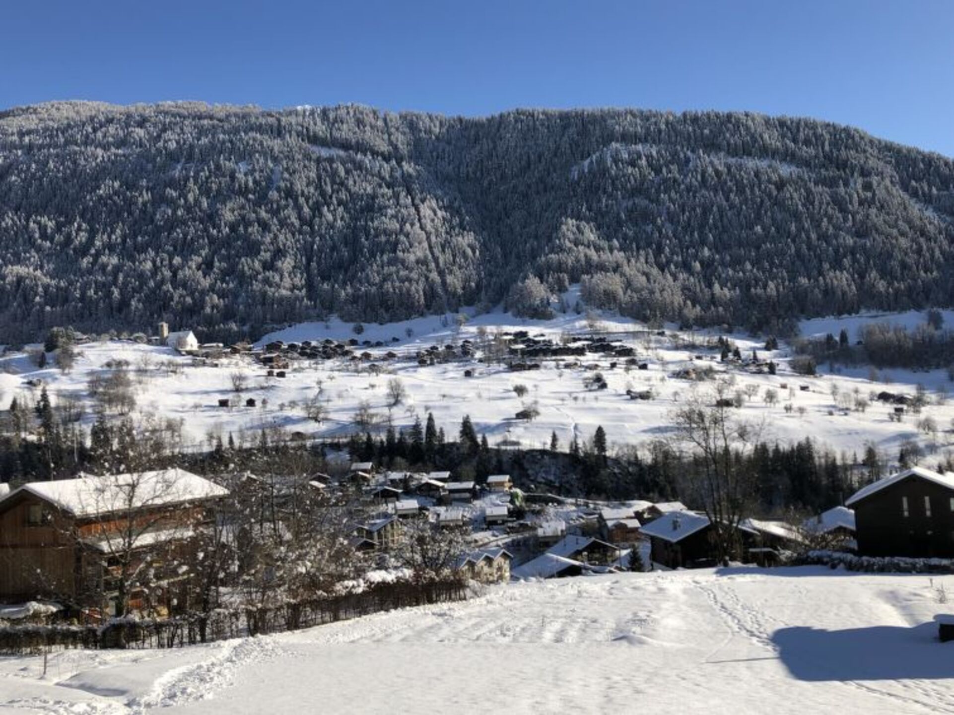 Mountain Magic: Elegant 3BR Villa in Valais,1365