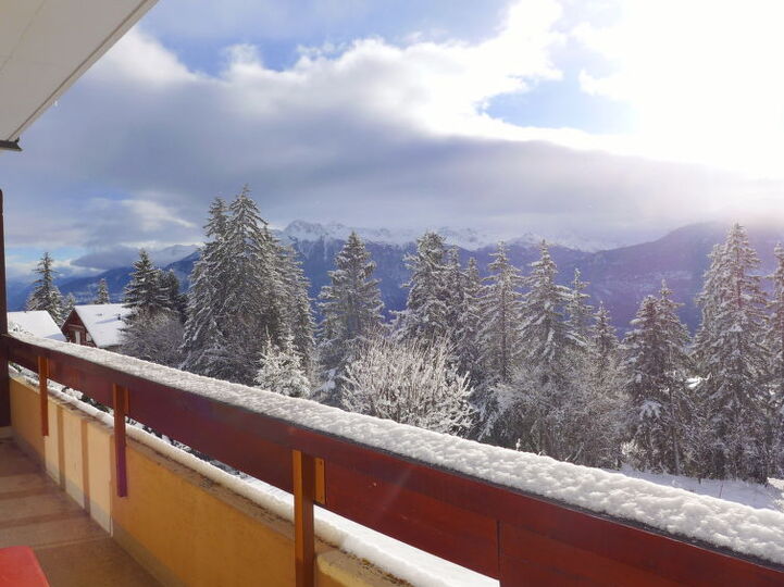 View