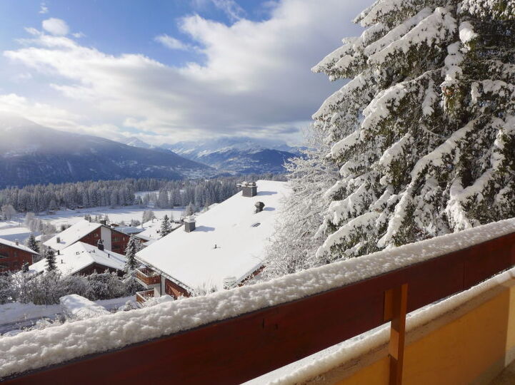 View