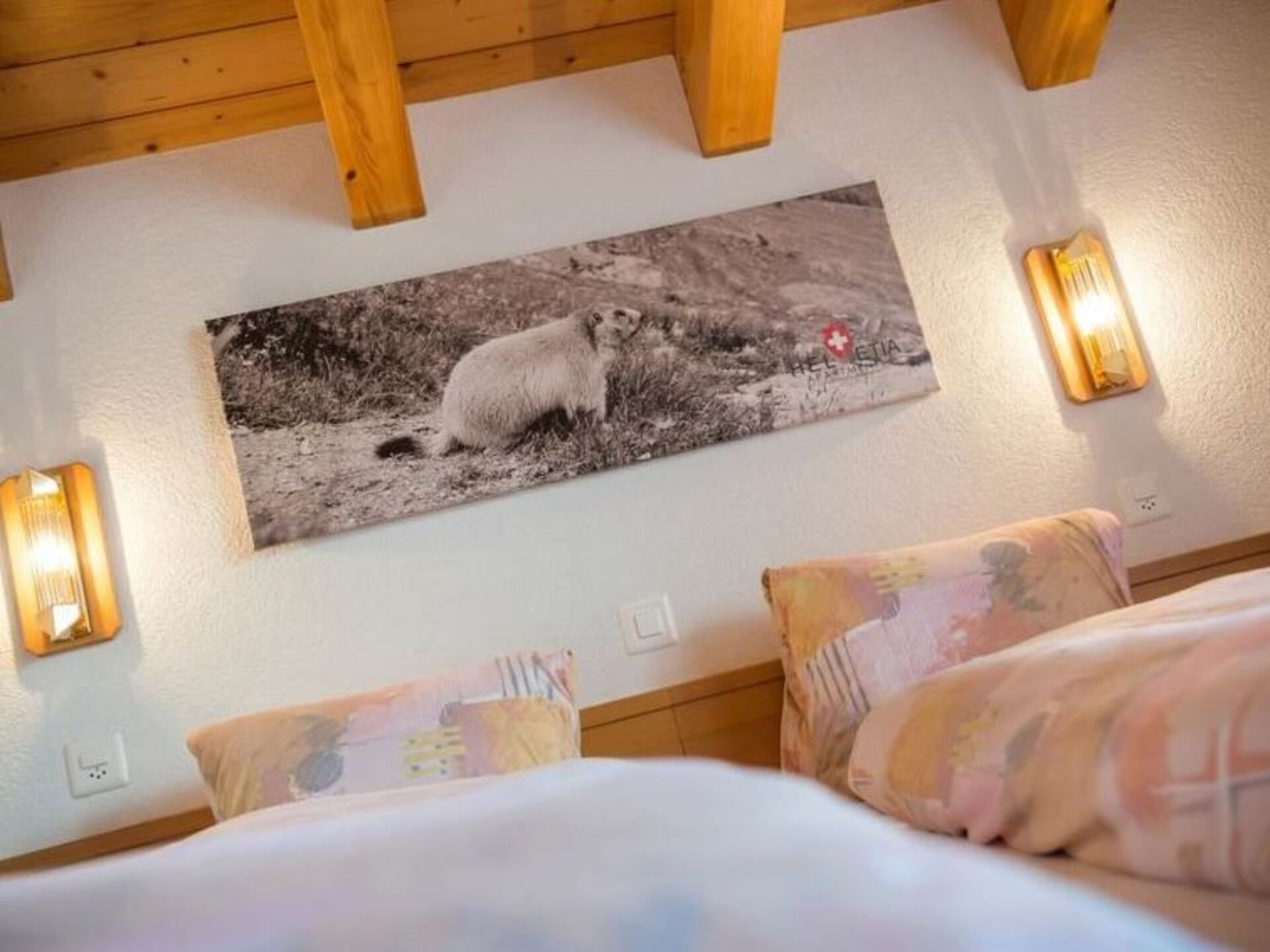 Charming Alpine Villa Escape,1382