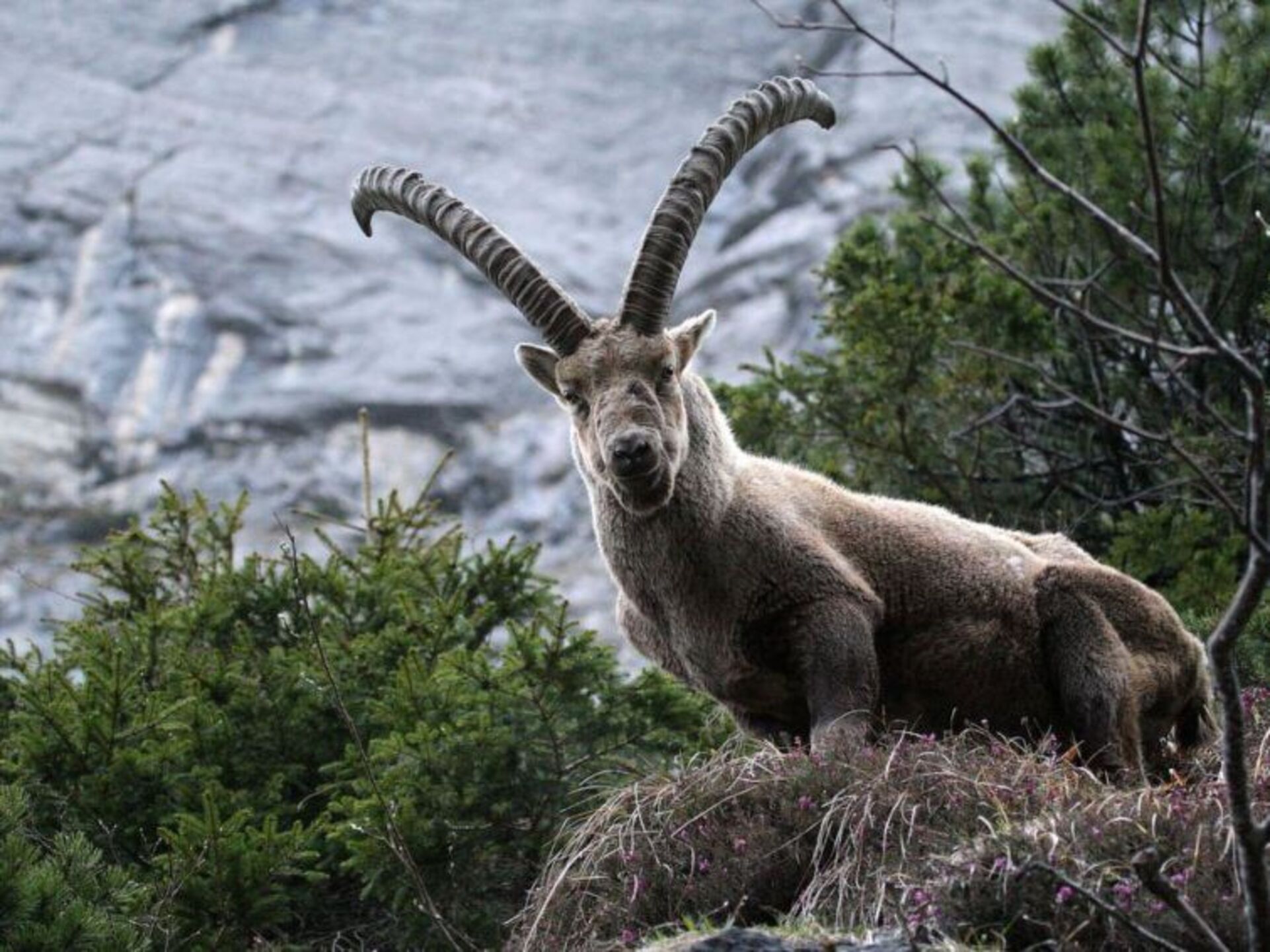 Outdoor