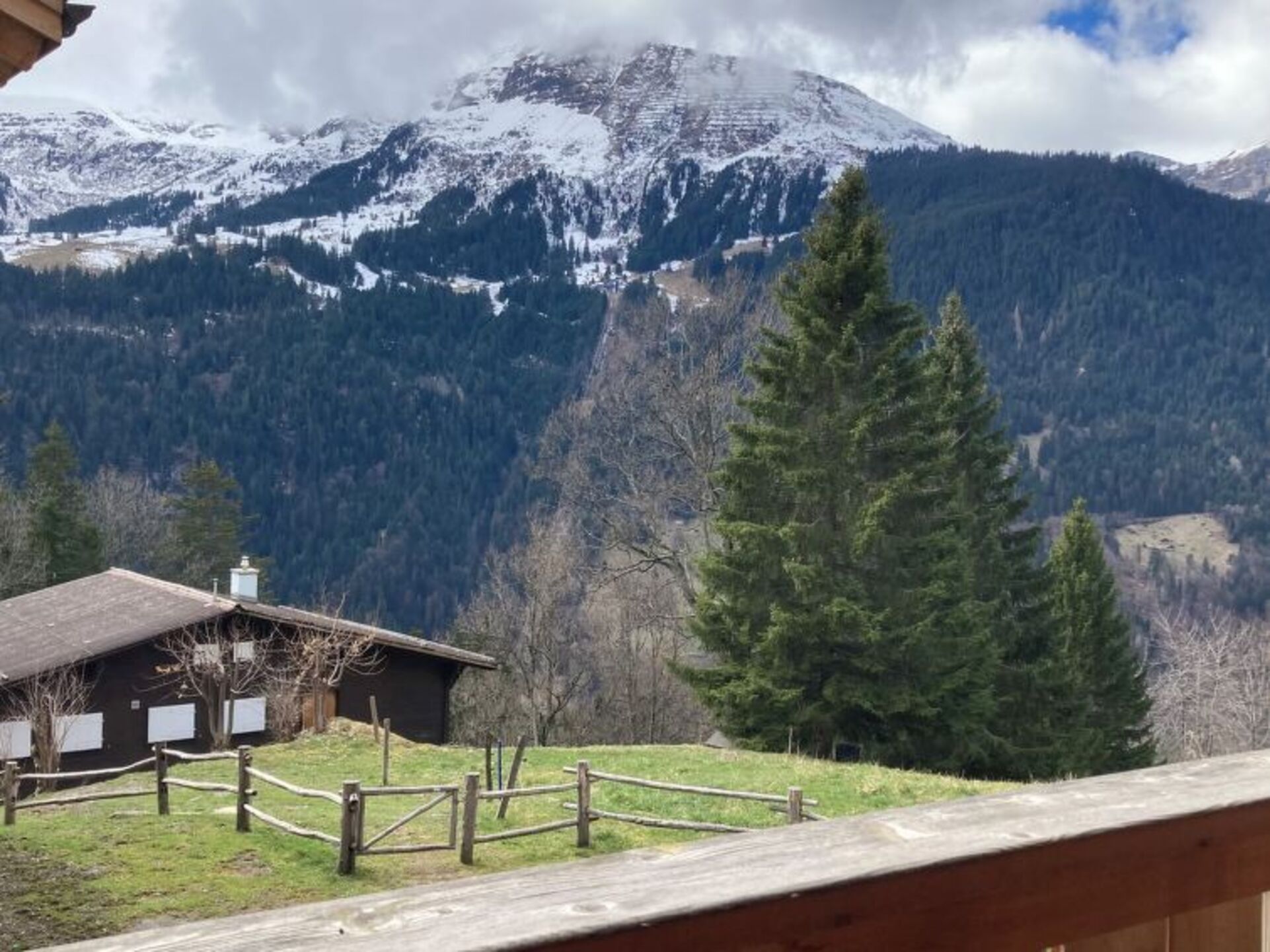 View