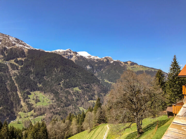 View