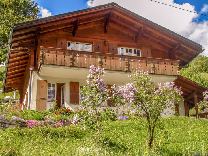 Cozy Mountain Villa in Grindelwald City, 1173, Grindelwald, Switzerland