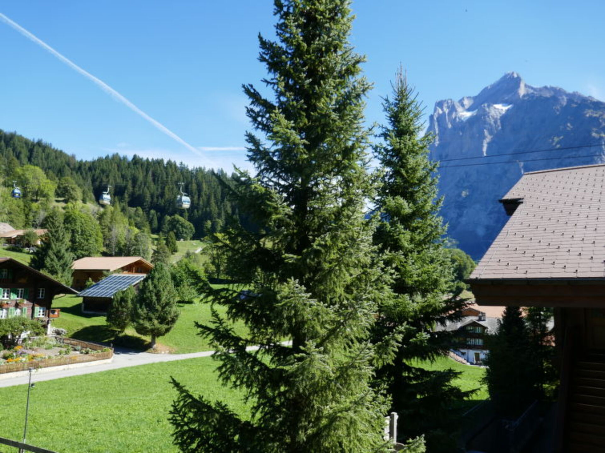 View