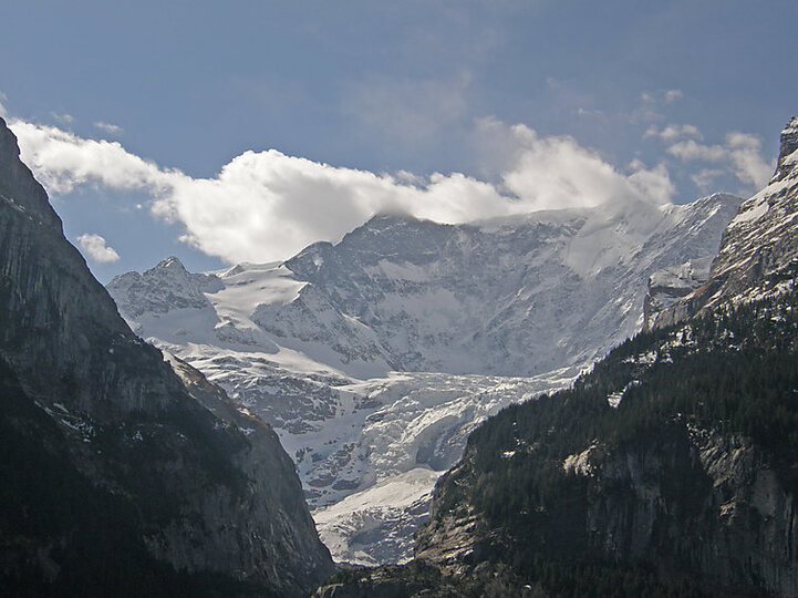 View