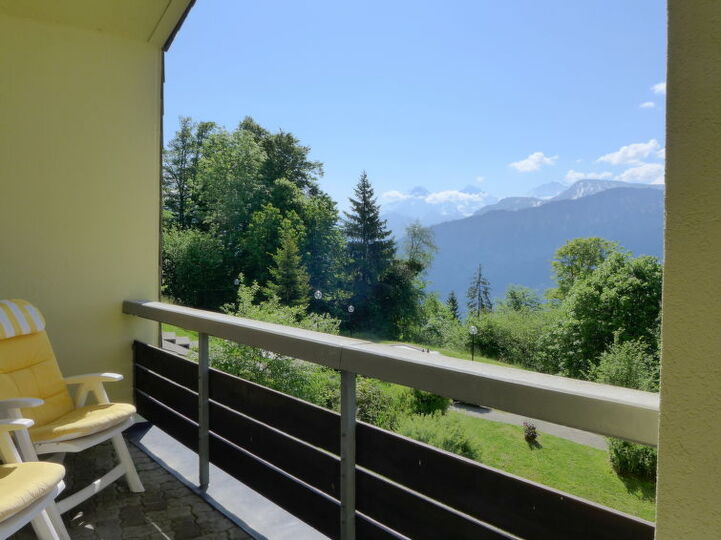 View