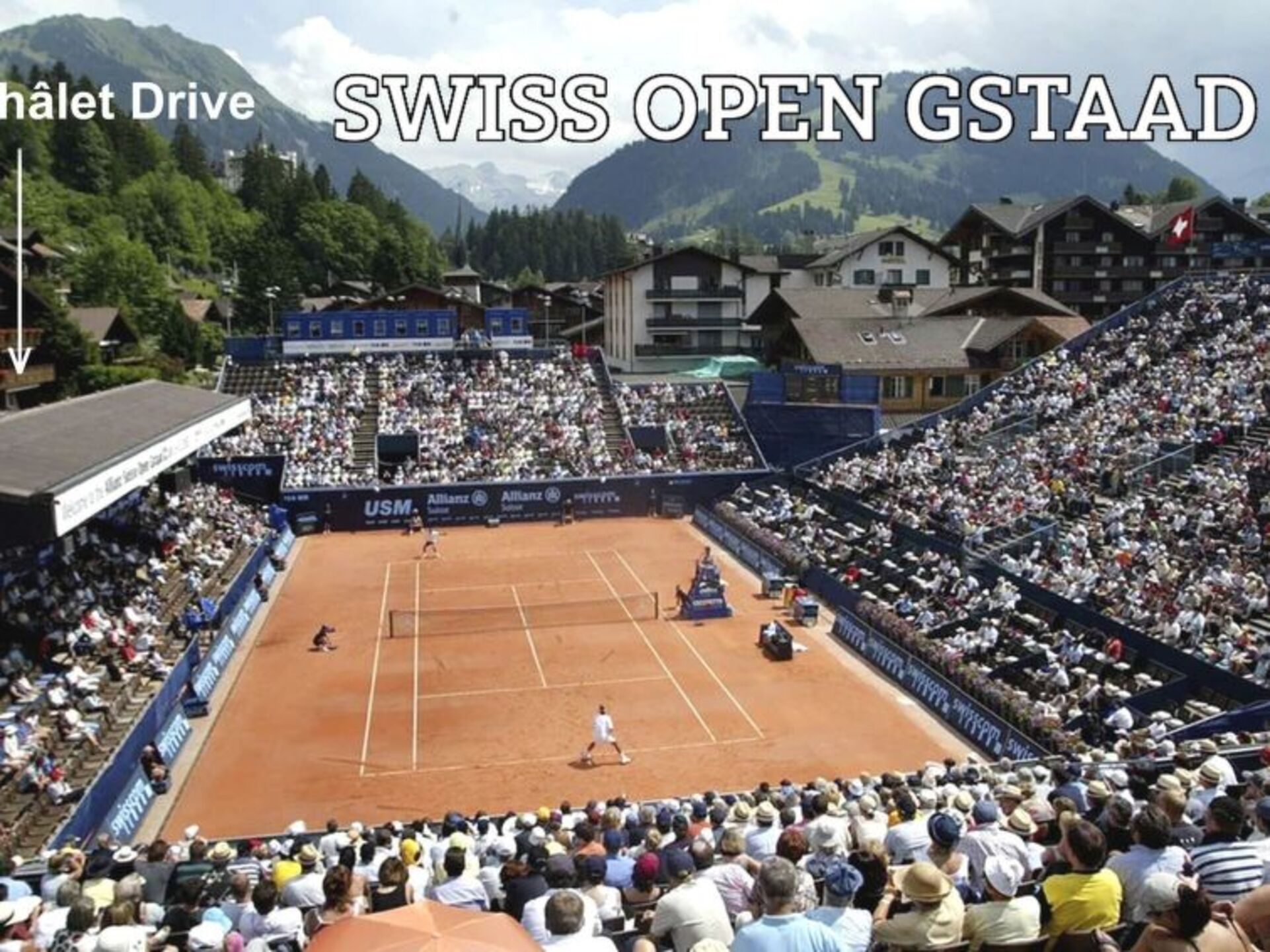 Tranquil Villa Oasis in Saanen for Rent, 1186