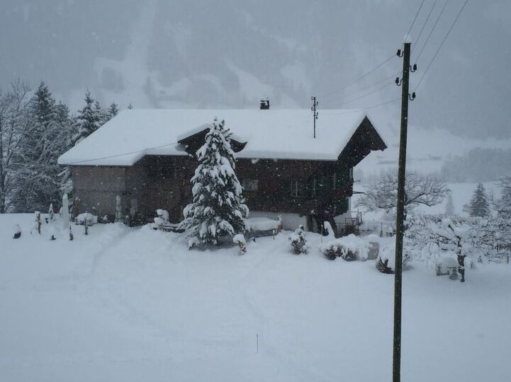 Cozy 2 Bedroom Villa in Lenk City, 1187