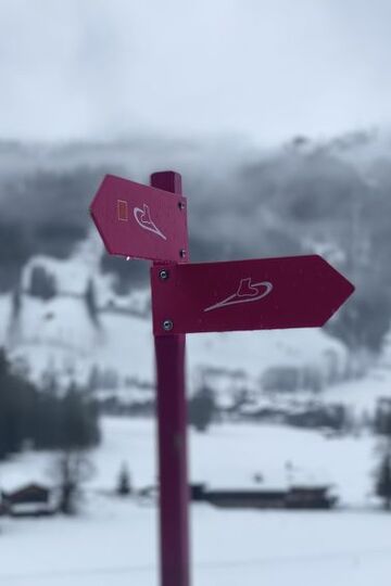 Cozy 2 Bedroom Villa in Lenk City, 1187