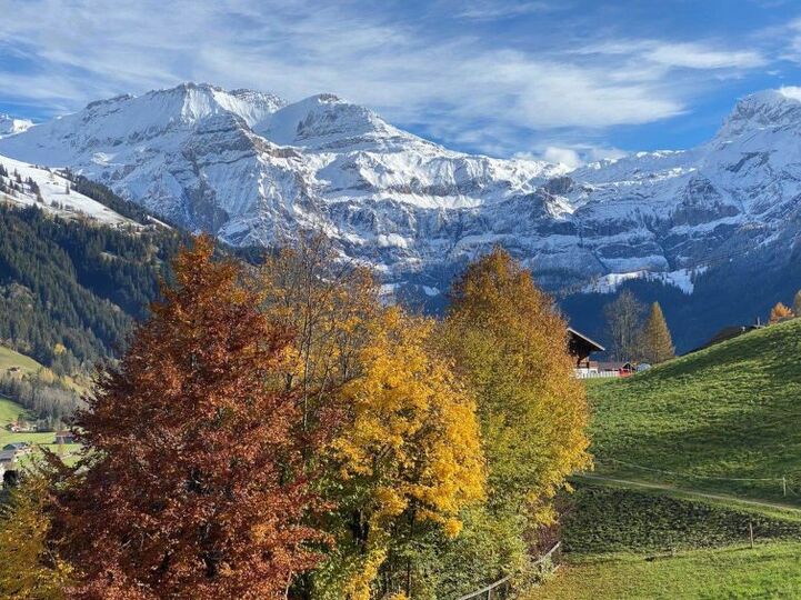 Cozy 2 Bedroom Oasis in Lenk's Heart, 1188