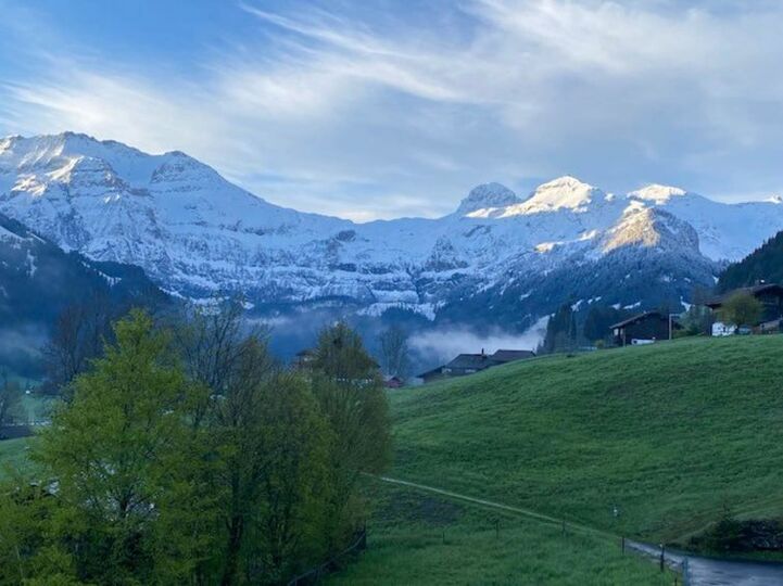 Cozy 2 Bedroom Oasis in Lenk's Heart, 1188