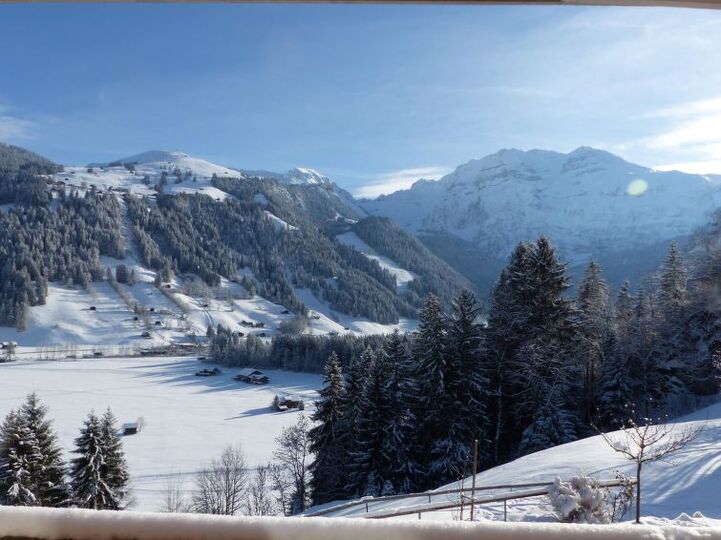 Unique 3 Bedroom Villa in Lenk, 1189