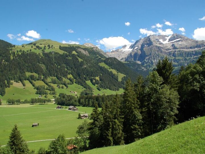 Unique 3 Bedroom Villa in Lenk, 1189