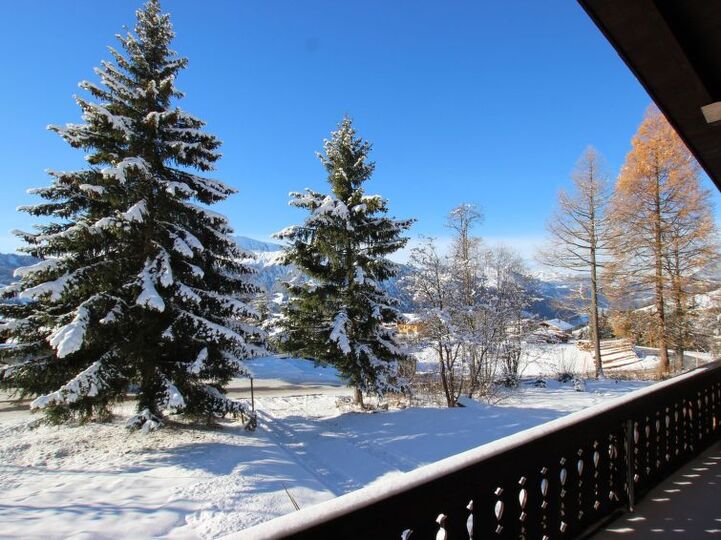 Elegant 4 Bedroom Villa in the Heart of Lenk, 1190