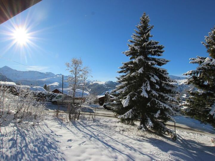 Elegant 4 Bedroom Villa in the Heart of Lenk, 1190