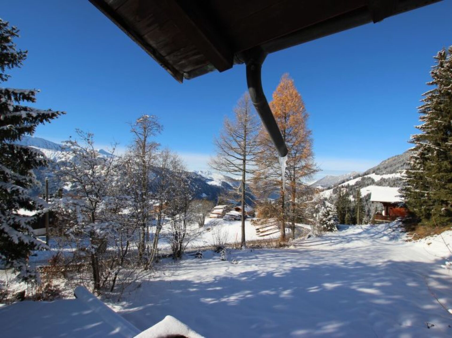 Elegant 4 Bedroom Villa in the Heart of Lenk, 1190