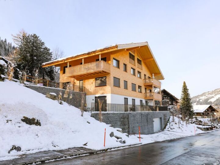Cozy Haven in Zweisimmen City, 1194