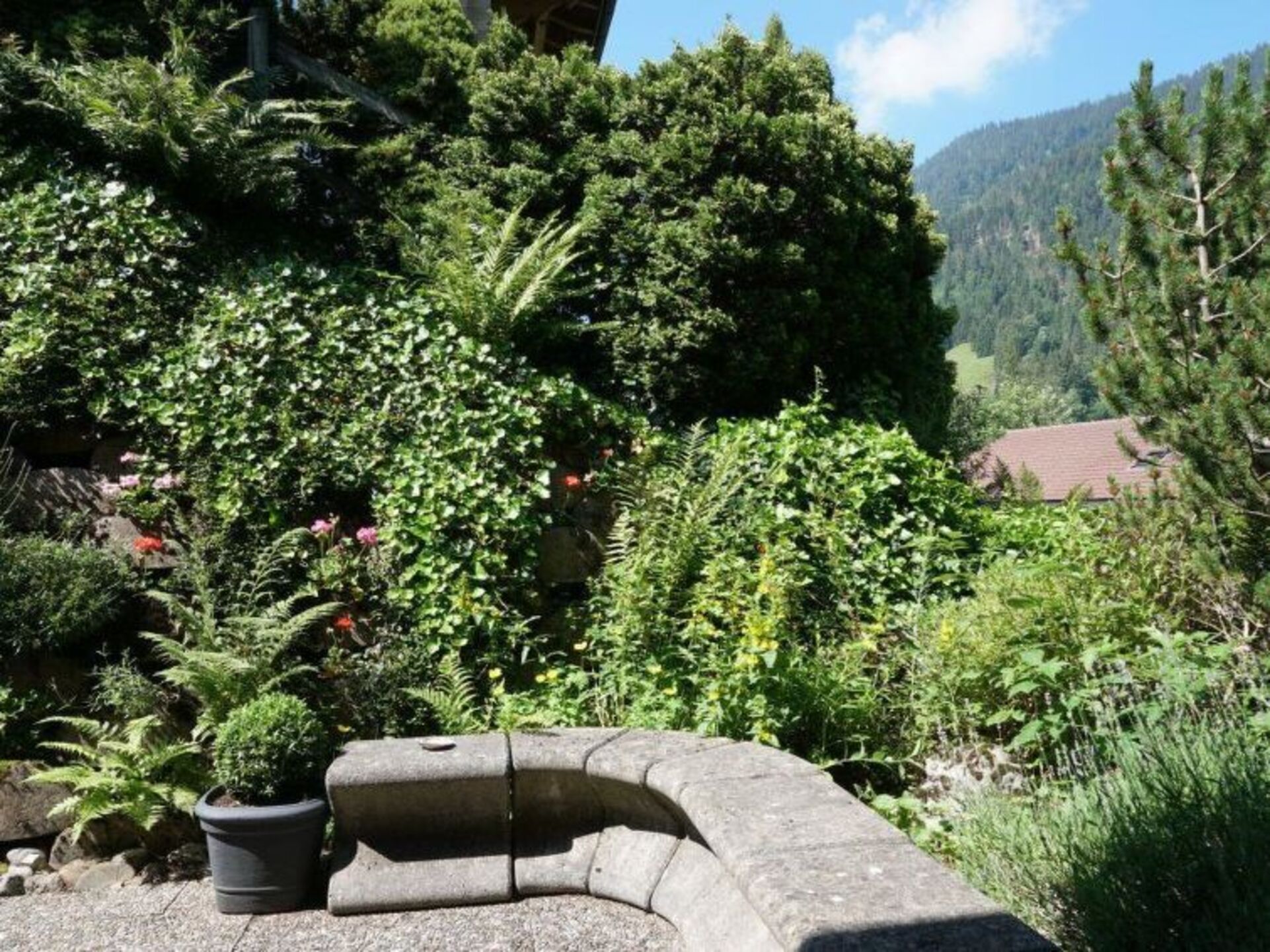 Elegant 2 Bedroom Villa in Zweisimmen, 1195