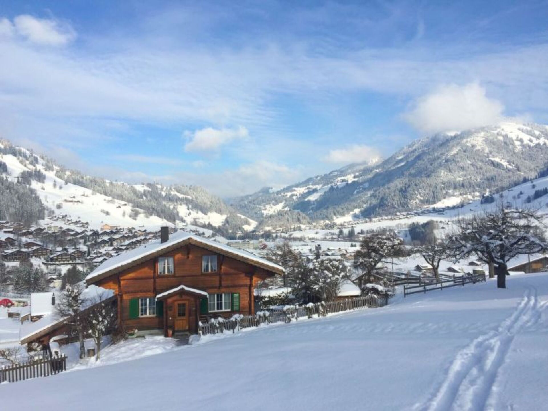 Elegant 2 Bedroom Villa in Zweisimmen, 1195
