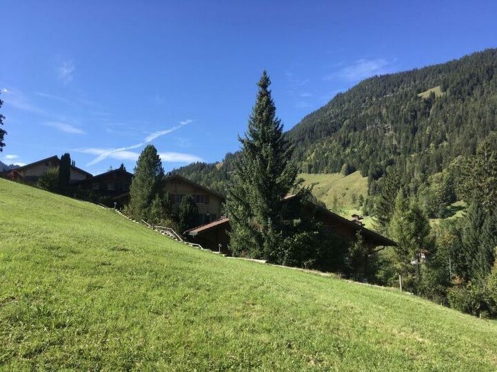 Elegant 2 Bedroom Villa in Zweisimmen, 1195