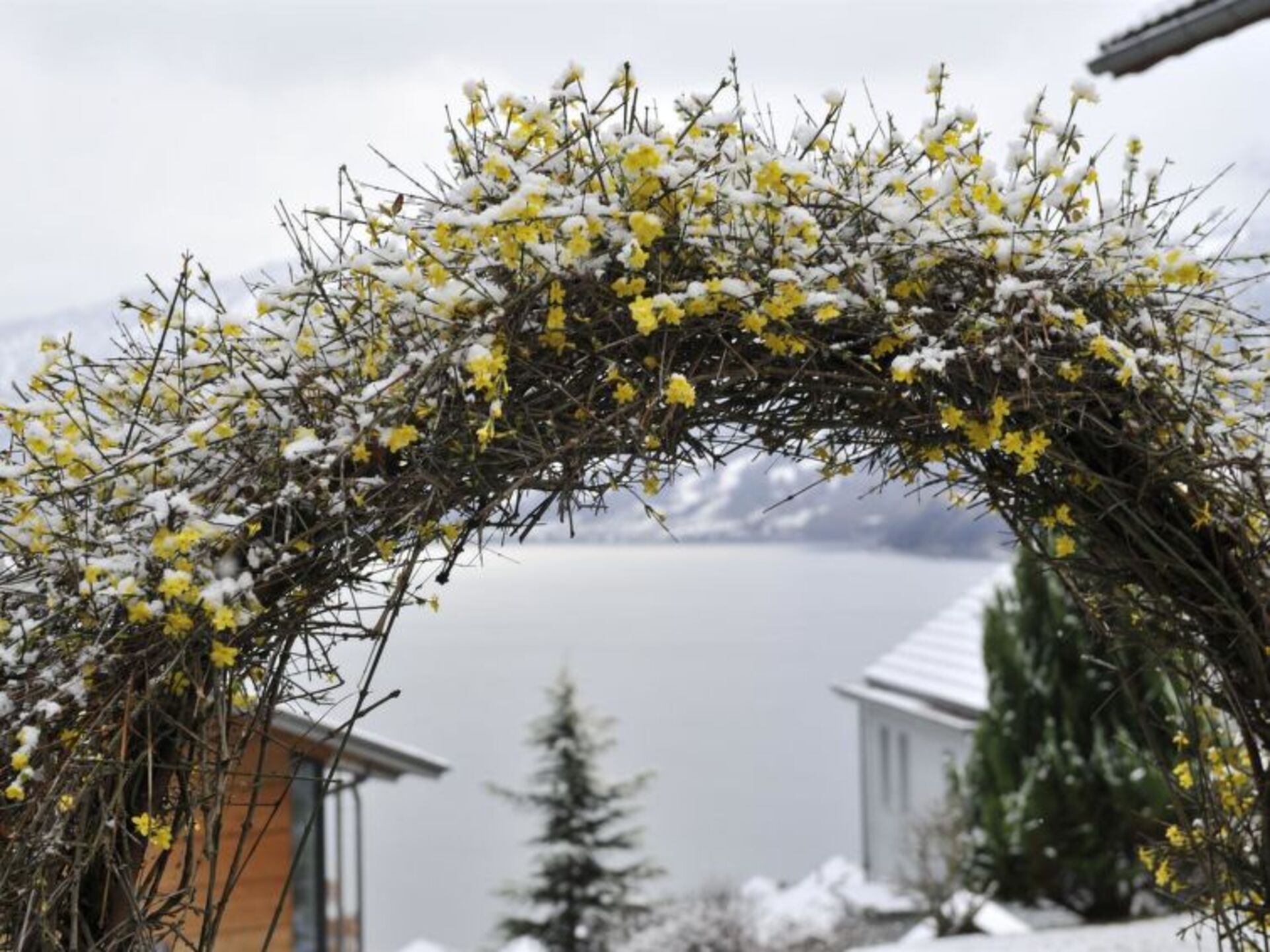 Spiez Dream Home: 5 Bedroom Villa with Pool, 1199