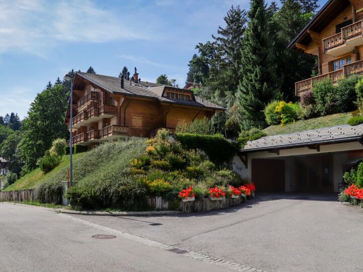 Cozy Retreat in Ollon City, 1052, Ollon, Switzerland