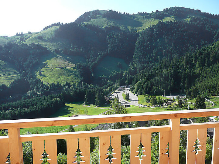 View