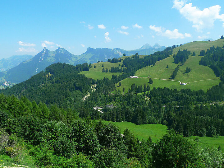 View