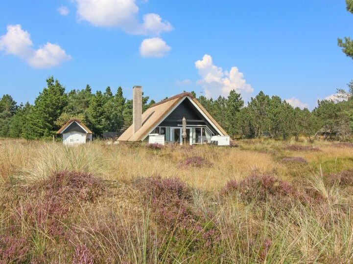 Luxury Home, Idyllic Location, Blåvand 1059, Blåvand, Denmark