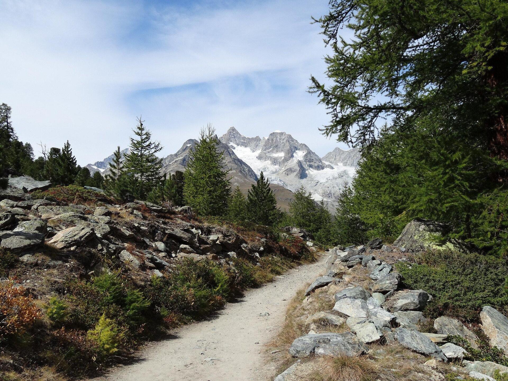 Matterhorn Views & Alpine Elegance, Luxury Valais Chalet 1407