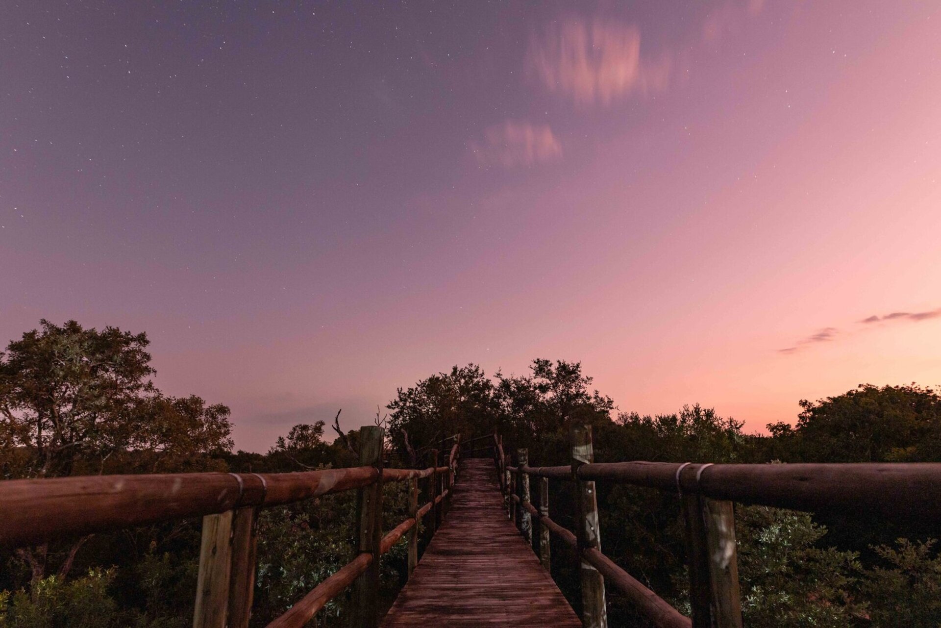 Ulusaba_Cliff 1030